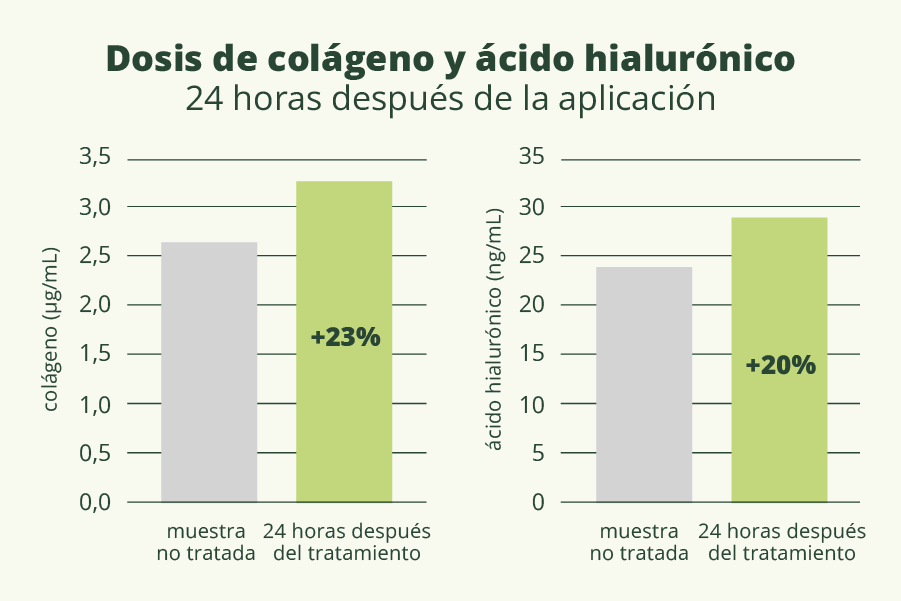 Fermentati-Complex-grafico_SPA