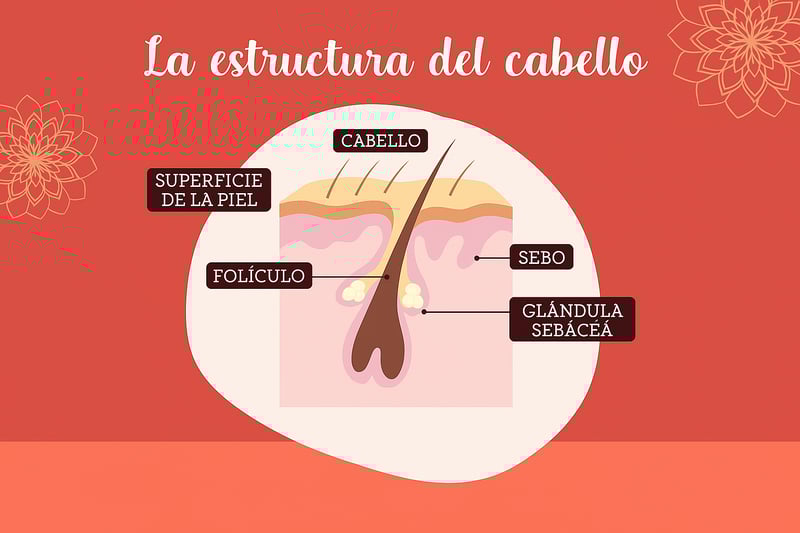 struttura-capello-spa